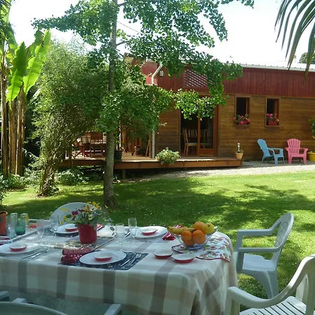 Les Palmiers Holiday home